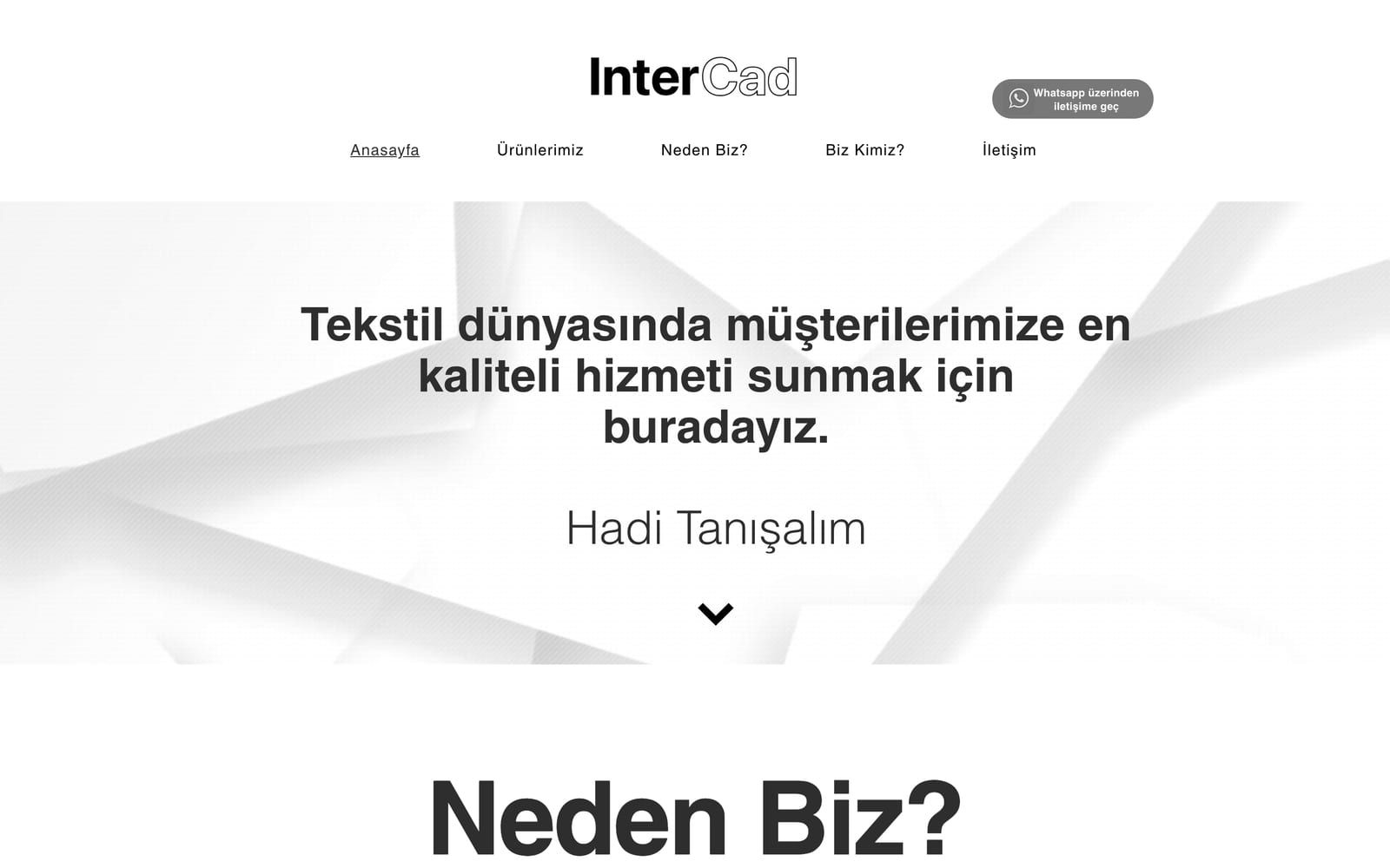 InterCAD web sitesi ana sayfası